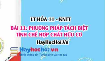 Các phương pháp tách và tinh chế hợp chất hữu cơ: Chưng cất, chiết, kết tinh, sắc kí cột? Hóa 11 bài 11 KNTT